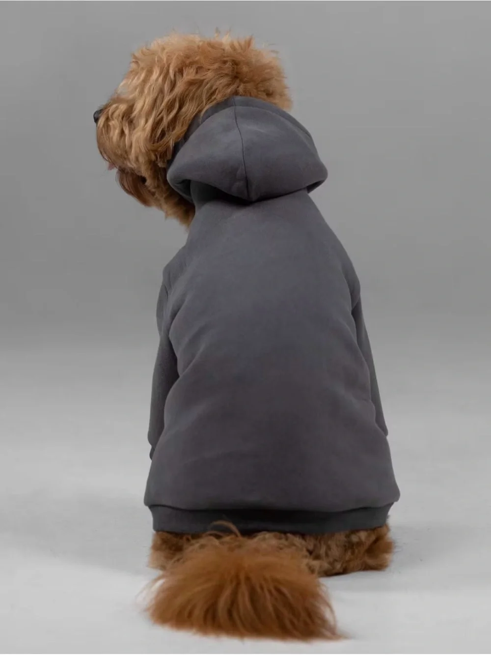 Comfrt Signature Paw Hoodie/ 2XL / Grey